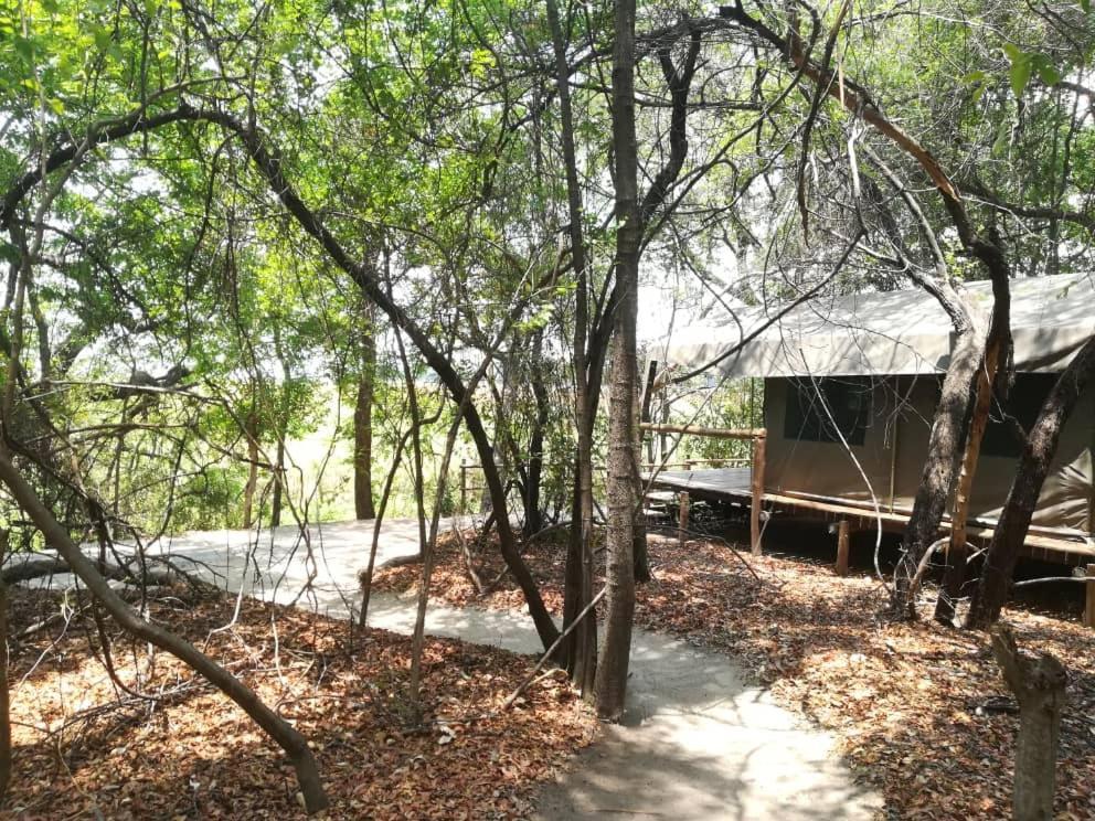 Shakawe Askiesbos - Samochima Bush Camp מראה חיצוני תמונה
