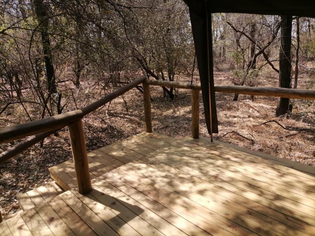 Shakawe Askiesbos - Samochima Bush Camp מראה חיצוני תמונה