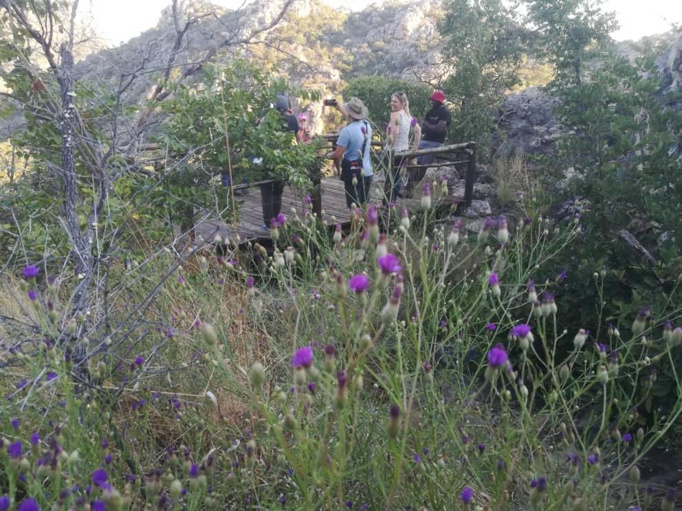 Shakawe Askiesbos - Samochima Bush Camp מראה חיצוני תמונה