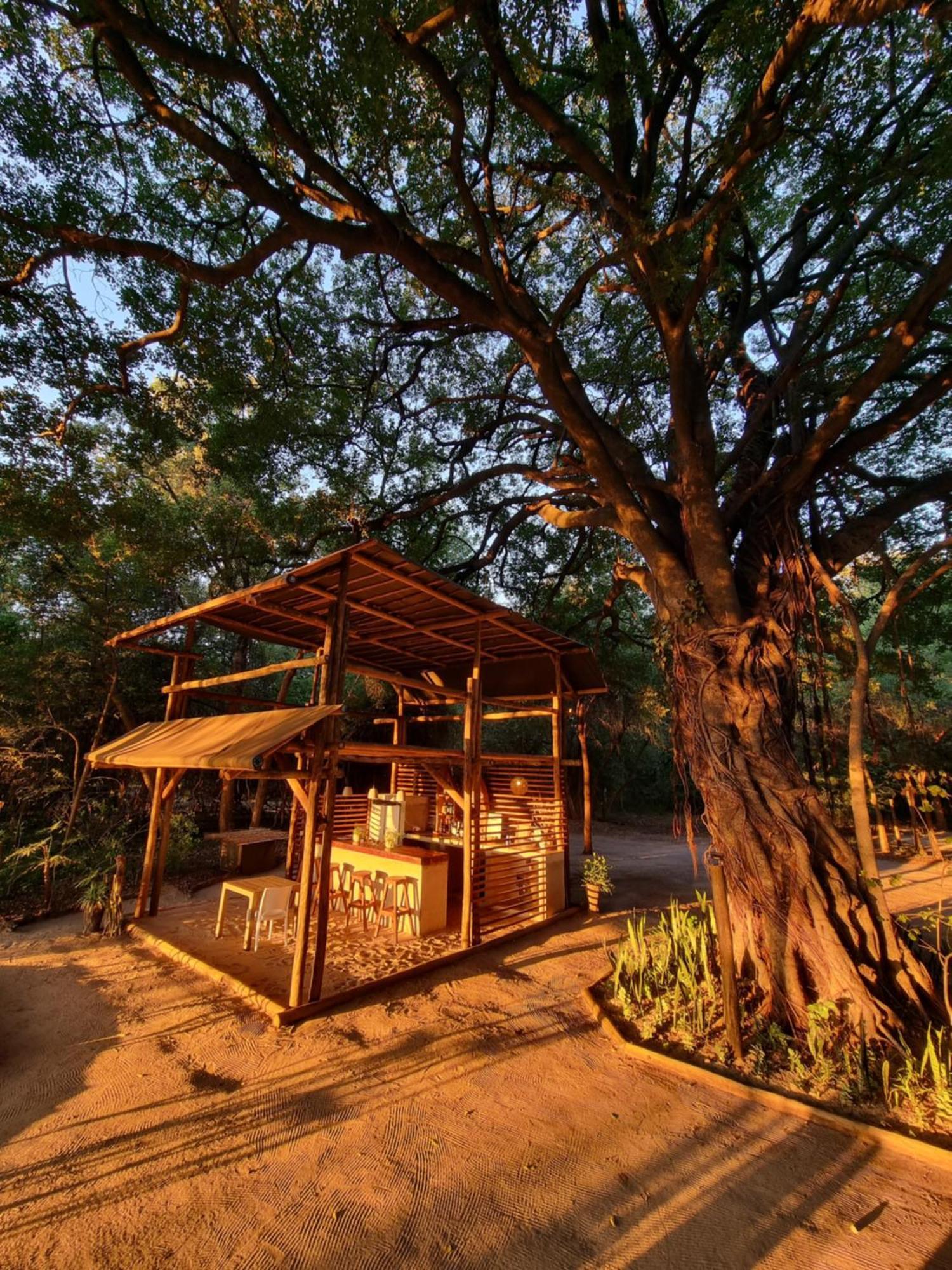 Shakawe Askiesbos - Samochima Bush Camp מראה חיצוני תמונה