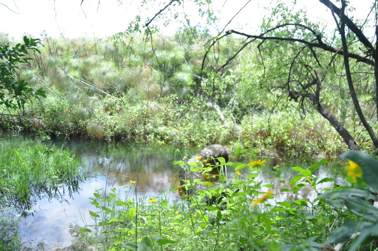 Shakawe Askiesbos - Samochima Bush Camp מראה חיצוני תמונה